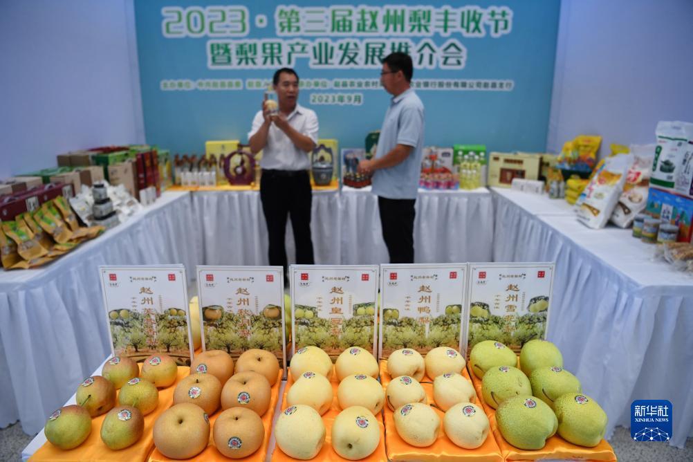 天易棋牌游戏